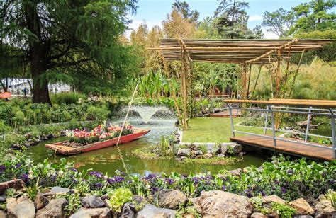 chilango Verde que te quiero verde Guía de jardines botánicos en CDMX