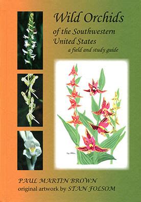 Wild Orchids Of The Southwestern United States A Field And Study