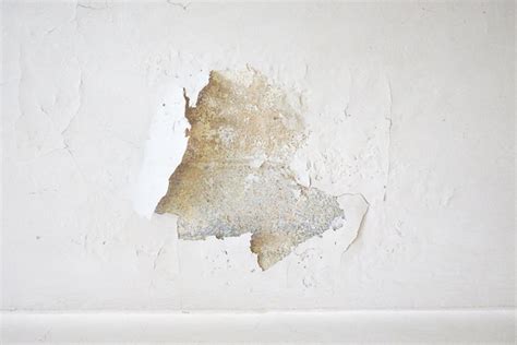 How Mold Spreads In Your Home Or Office