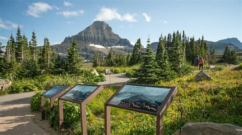 Logan Pass Trio of Geology and Climate Exhibits (U.S. National Park ...