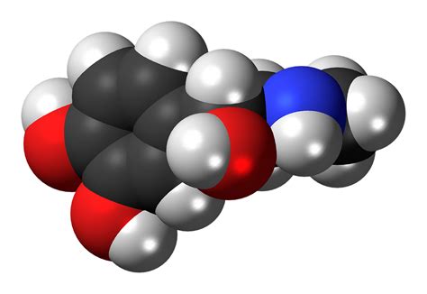 Download Adrenaline, Epinephrine, Hormone. Royalty-Free Stock ...