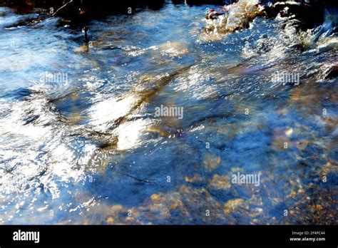 Beautiful Water Texture River In Motion Water Natural Background