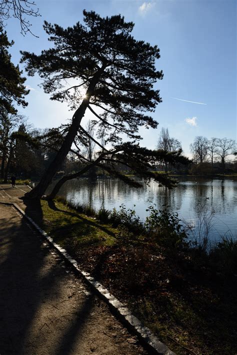 Bois De Vincennes Lapproche De Lhiver Vincennes Park Paris