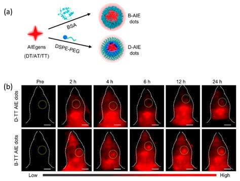 Fluorescent Imaging Agents For Brain Diseases