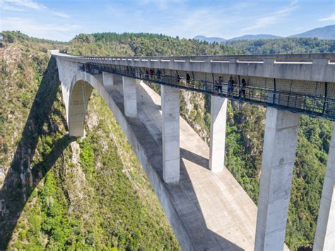 Face Adrenalin Bungy Bloukrans Bridge Bungee Jumping Plett Dirty