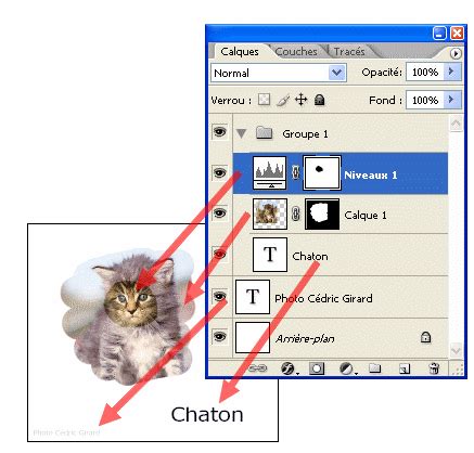 Photoshop Calques part I hiérarchie et style de calque