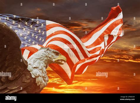 An american bald eagle on american flag Stock Photo - Alamy