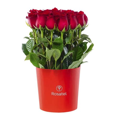 Compras Online Sombrerera Roja Con Rosas Follaje Rosatel Tarapoto