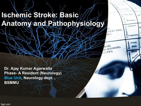 Pathophysiology Of A Stroke