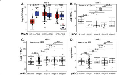 Mcl 1 Expression In Rcc Tumor Tissues Versus In The Associate Normal