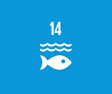 Goal 14 Life Below Water The Global Goals