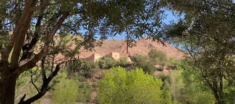 Tinmel Mosque - A Historic Almohad Sanctuary Damaged By Earthquake ...