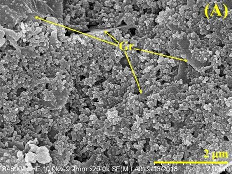 Figure A Sem Image And B Edx Spectrum Of Gr P Dan Cu Film