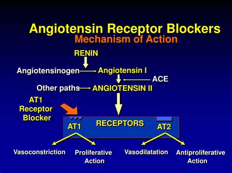 Ppt Endothelial Dysfunction In Hypertension Powerpoint Presentation Id 828396