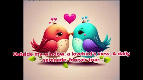 Loving Birds 🐦 🐦 Youtube