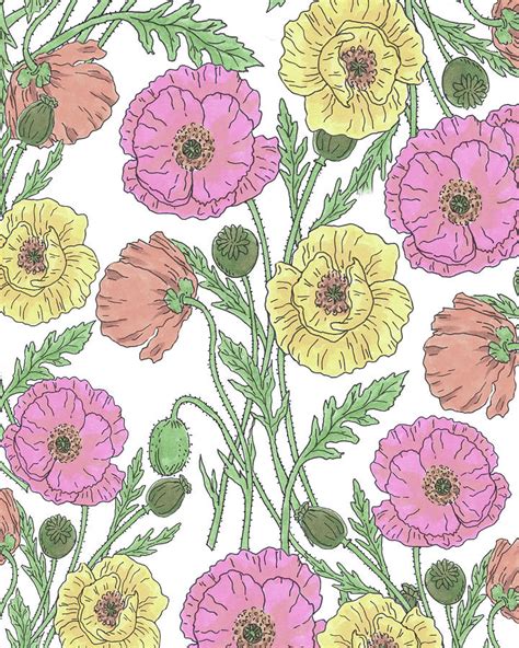 Soft Pink Yellow Orange Iceland Poppies Wildflowers Watercolor Flower