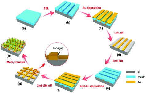 Schematic Fabrication Procedures Of The Mos 2 Au Nanogap Hybrid A