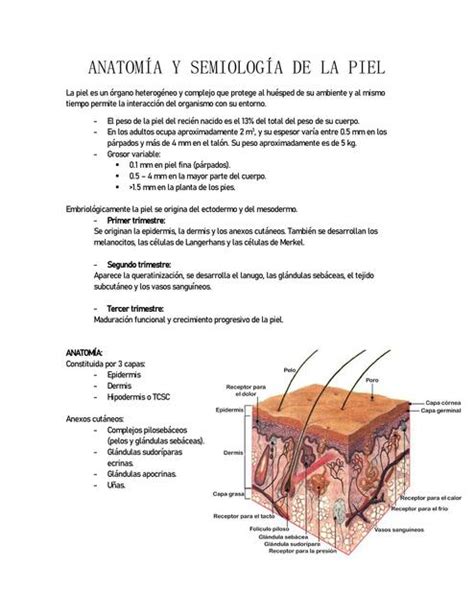 Primer Aporte Resumen Dermatolog A Nichol Aracely Ayquipa Ortega Udocz