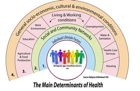 Blmk Integrated Care System Mkvoluntarysectoralliance