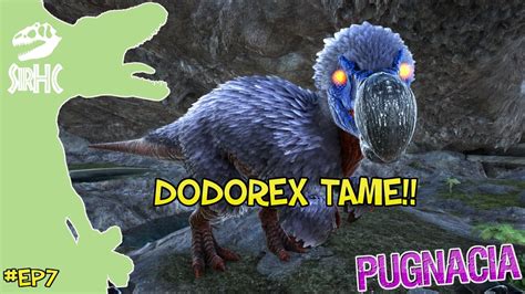 DODOREX TAME EP7 DANSK PUGNACIA MODDED ARK SÆSON 2 YouTube