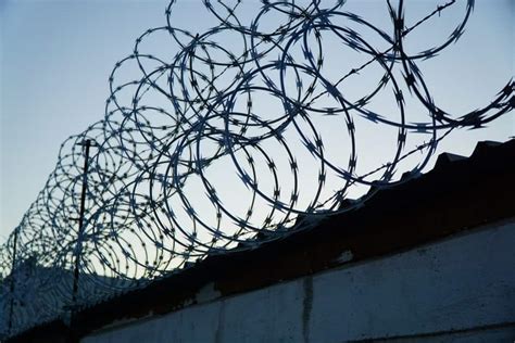 5 Different Types Of Barbed Wire Review Home Design