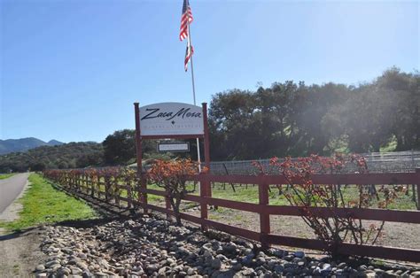 Santa Barbara Wine Country California Winery Advisor