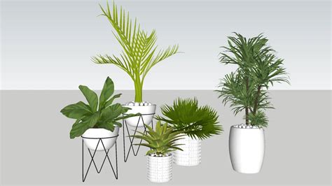 Planta Em Vaso Potted Plant 3d Warehouse Interior Plants Plants