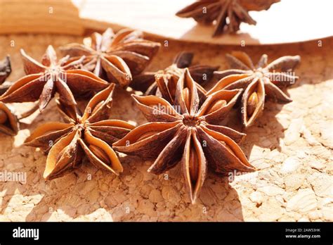 Macro Popular Spice Commonly Called Star Anise Staranise Star Anise