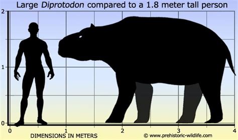 Diprotodon Megafauna Prehistoric Animals Prehistoric Wildlife