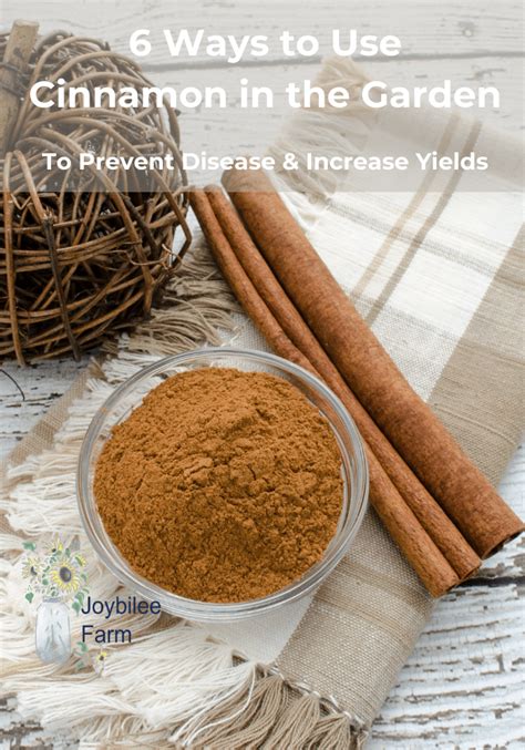 6 Ways To Use Cinnamon In The Garden To Prevent Disease And Increase