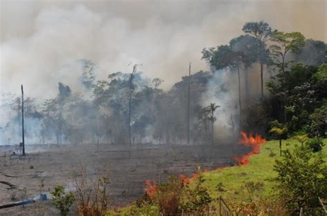 Brasil Bolivia y Perú los efectos de las sequías e incendios