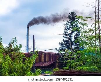 Air Pollution Nature Stock Photo 1394491331 | Shutterstock