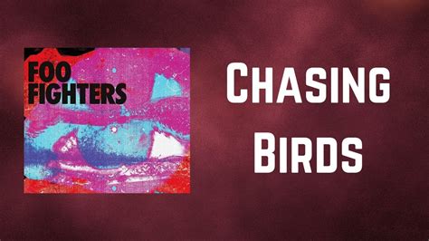 Foo Fighters Chasing Birds Lyrics Youtube