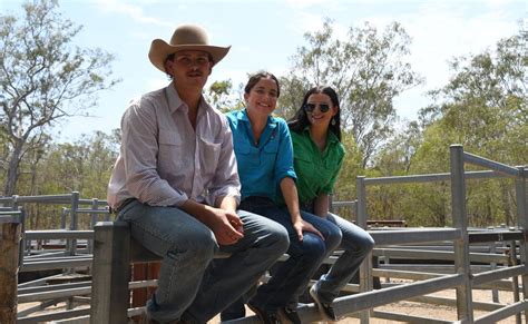 Miriam Vale Cattle Sale Draws A Large Crowd Queensland Country Life Qld