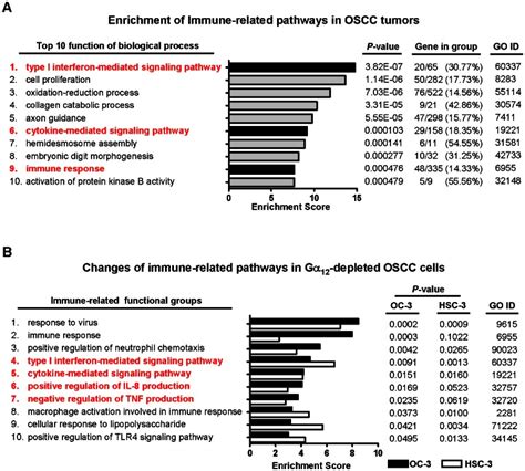 A Comparative Transcriptome Analysis Of Oscc Tumors Reveals That