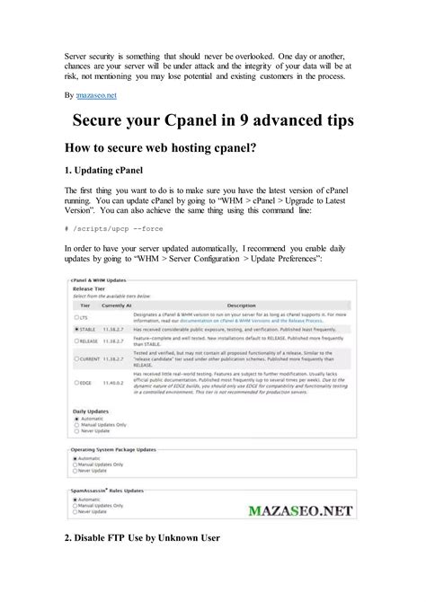 Secure Your Cpanel In 9 Advanced Tips PDF