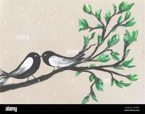 Two Birds Is Sitting On A Branch Birds Couple On Branch Isolated On