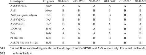 The Snp Genotypes Of Avsyrspnil And Other Wheat Lines Carrying Yr Genes