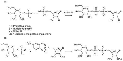 Scheme 8 Chemical Synthesis Of Nucleotide Sugars A Synthesis By Download Scientific