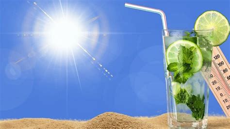 Top 6 Foods And Drinks For Surviving A Heatwave