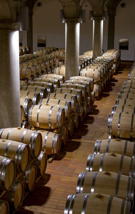 Big Wine Cellar With Old Oak Barrels Production Of Red Dry Or Sweet