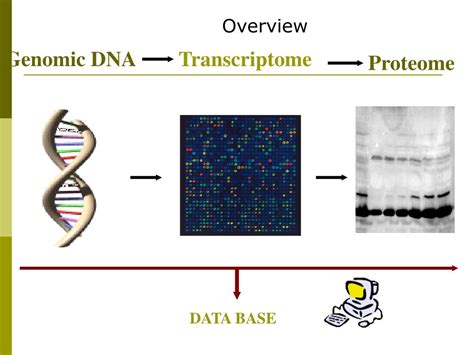 PPT Genomics Analysis Chapter 20 PowerPoint Presentation Free