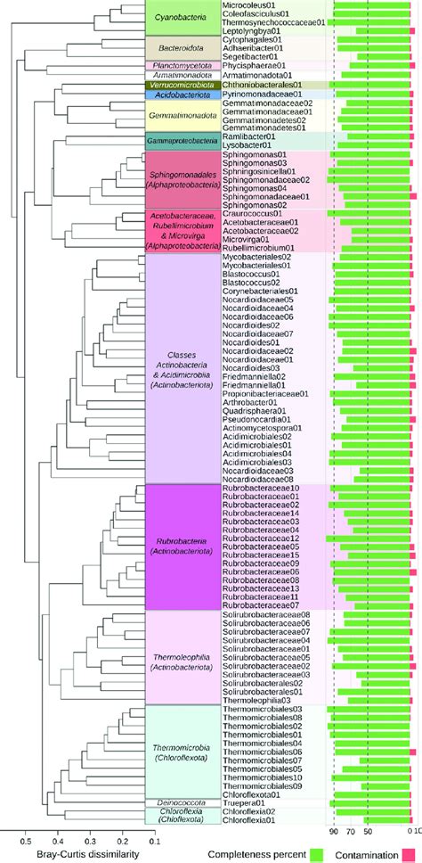 Clustering Of The Metagenome Assembled Genomes MAGs Based On