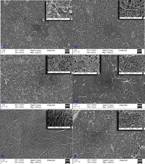 Figure From Nanocellulose Surface Functionalization For In Situ