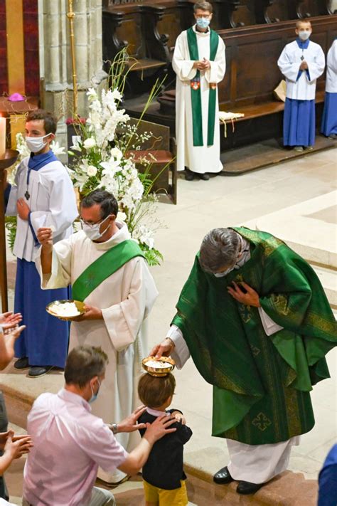 Retour En Images Sur La Messe De Rentr E De L Enseignement Catholique