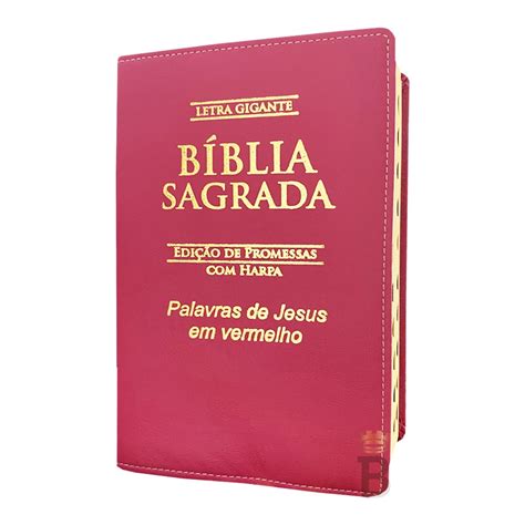 Biblia Sagrada Letra Gigante Luxo Popular Pink Harpa Mulher