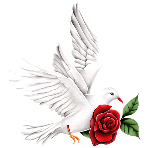 White Dove of Peace with Red Rose in Beak · Creative Fabrica