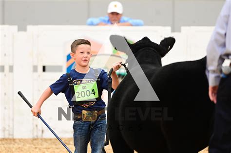 Steer Shows Next Level Images