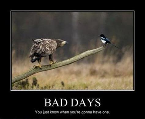 Very Demotivational Bad Day Page 2 Very Demotivational Posters