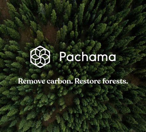 Contribution: Pachama: Forest Carbon Credits